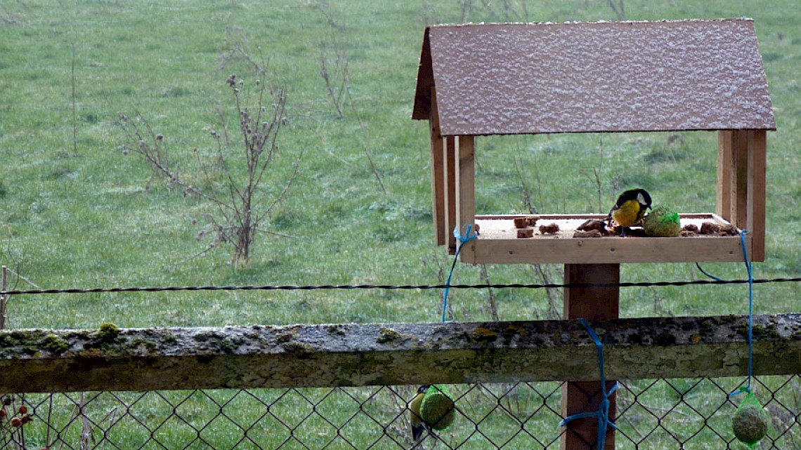 vogelhuisje met tuinvogels